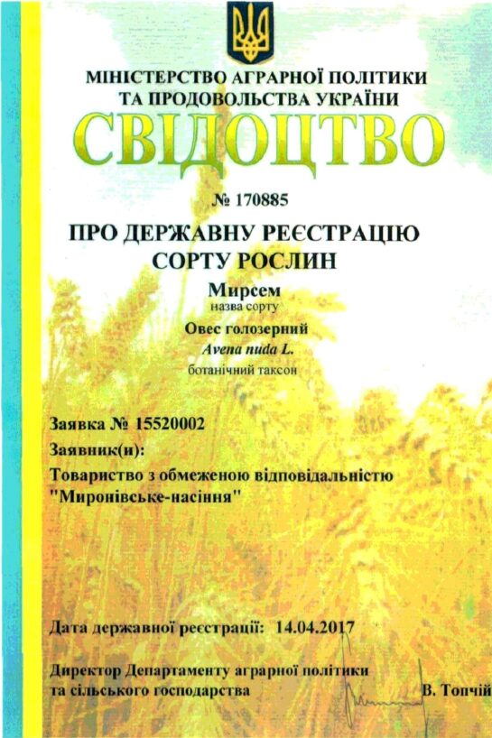 Миронівське насіння, Насіння високої якості, купити, Україна.