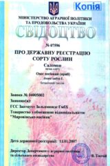 Мироновские семена, Семена высокого качества, купить, Украина.