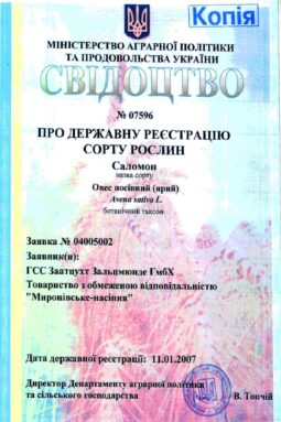 Миронівське насіння, Насіння високої якості, купити, Україна.