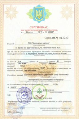 Миронівське насіння, Насіння високої якості, купити, Україна.