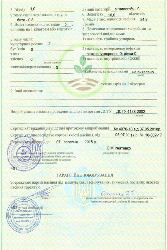Миронівське насіння, Насіння високої якості, купити, Україна.
