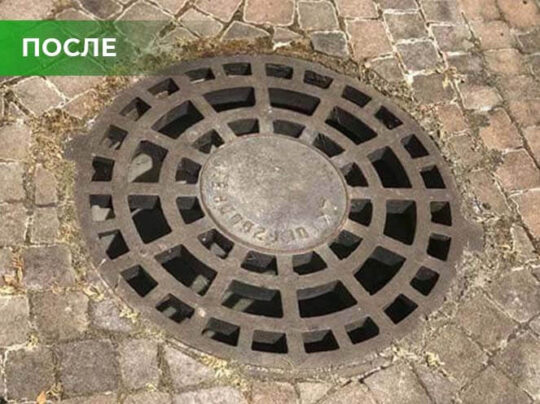 Биогербицид Weed Killer