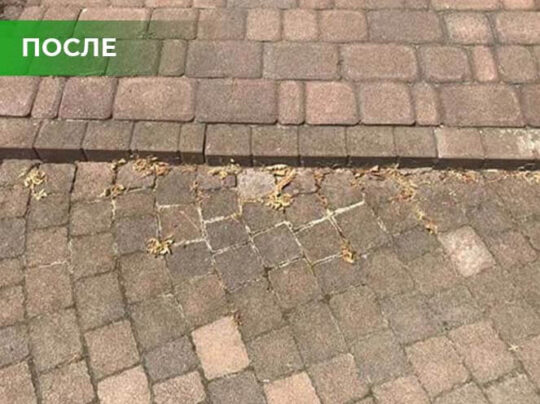 Биогербицид Weed Killer