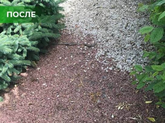 Биогербицид Weed Killer