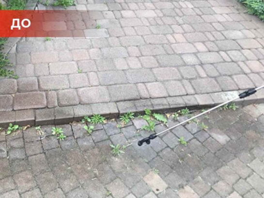 Биогербицид Weed Killer