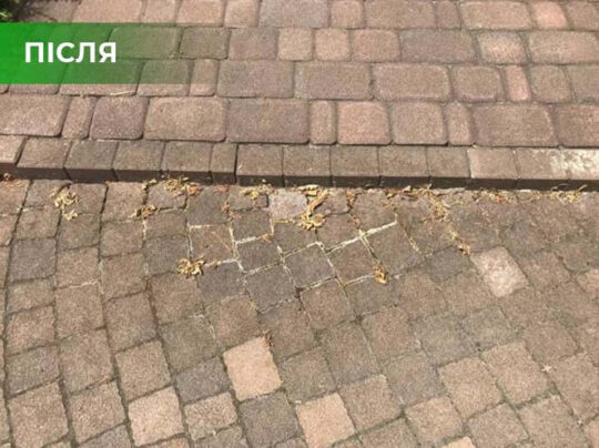 Біогербіцид суцільної дії не токсичний, Купити, Україна.