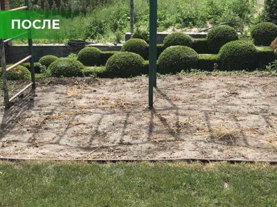 Биогербицид Weed Killer